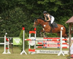 broodmare L.A. Payenne (Westphalian, 2013, from Los Angeles)