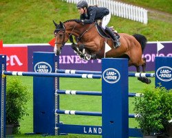 jumper Escoffier (KWPN (Royal Dutch Sporthorse), 2009, from Lord Z)