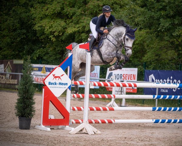 jumper Dia Athletico (Oldenburg, 2015, from Tailormade's Diarado's Boy 256 FIN)