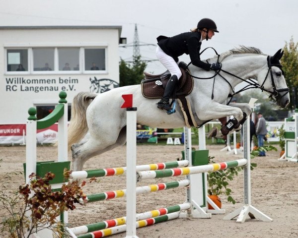 Pferd LeLou F (Deutsches Sportpferd, 2015, von Chap II)