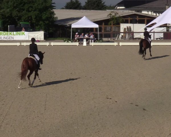Reitturnier Leichlingen-Witzhelden - Sieferhof 2022