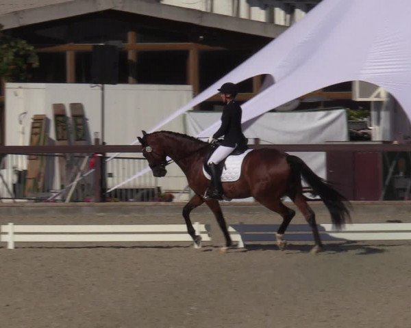Reitturnier Leichlingen-Witzhelden - Sieferhof 2022