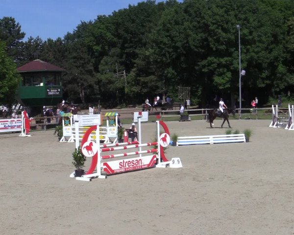 Reitturnier Barlo-Bocholt 2022
