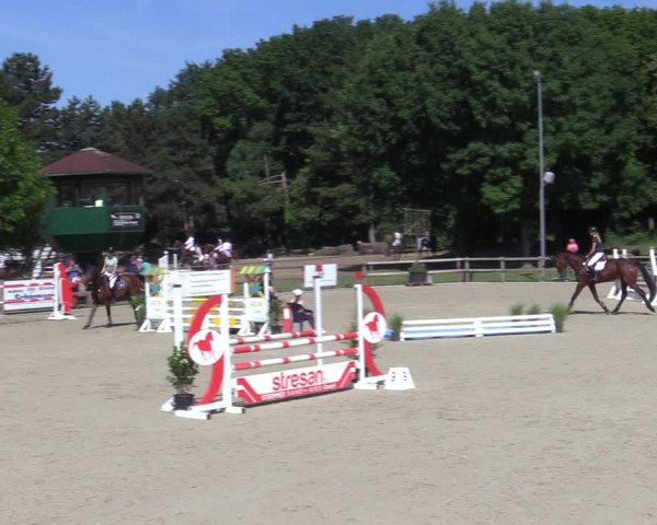 Reitturnier Barlo-Bocholt 2022