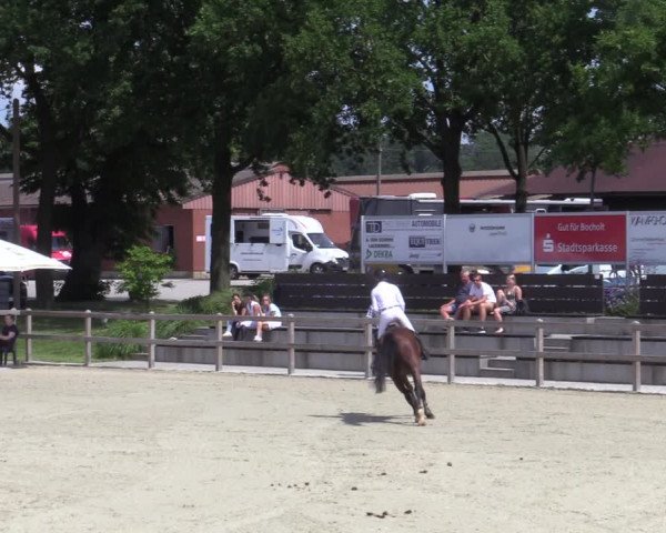 Reitturnier Barlo-Bocholt 2022