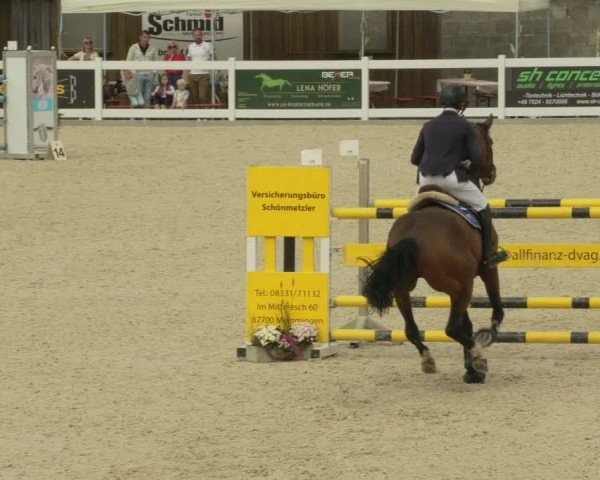 Springturnier Memmingen 2021