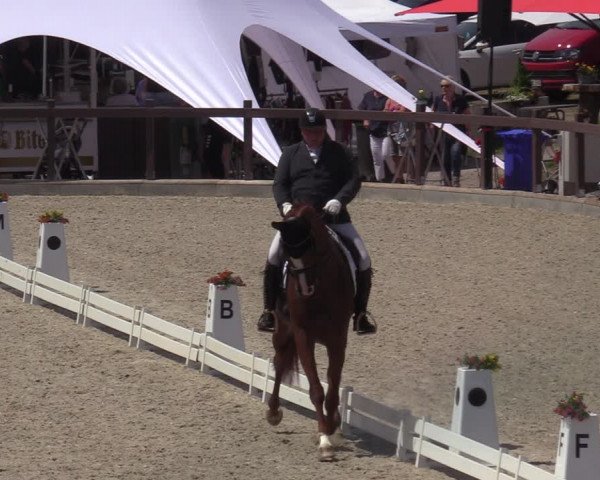 Reitturnier Leichlingen-Witzhelden - Sieferhof 2022