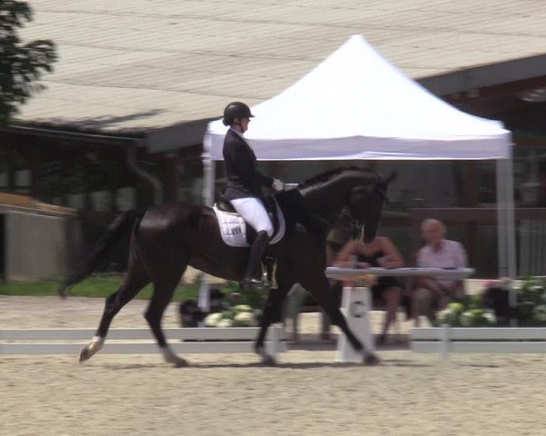 Reitturnier Leichlingen-Witzhelden - Sieferhof 2022