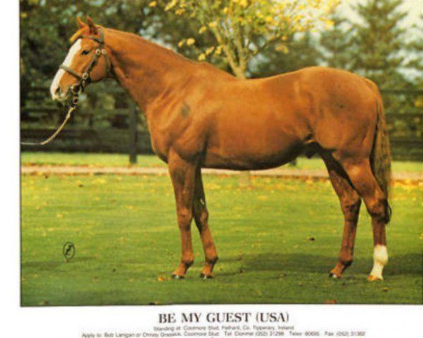 stallion Be My Guest xx (Thoroughbred, 1974, from Northern Dancer xx)