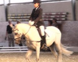 dressage horse Maybe Forever 6 (unknown, 2002)