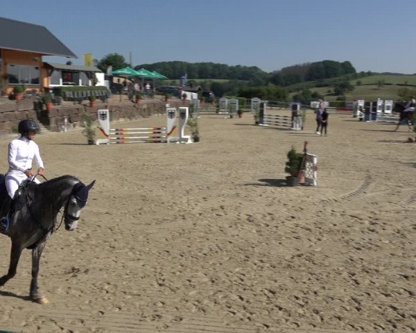 Reitturnier Lindlar-Süttenbach 2022