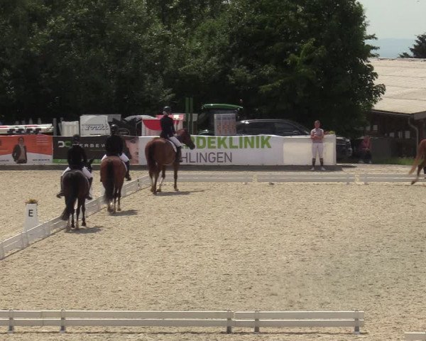 Reitturnier Leichlingen-Witzhelden - Sieferhof 2022