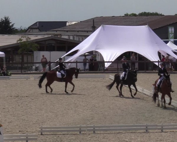 Reitturnier Leichlingen-Witzhelden - Sieferhof 2022