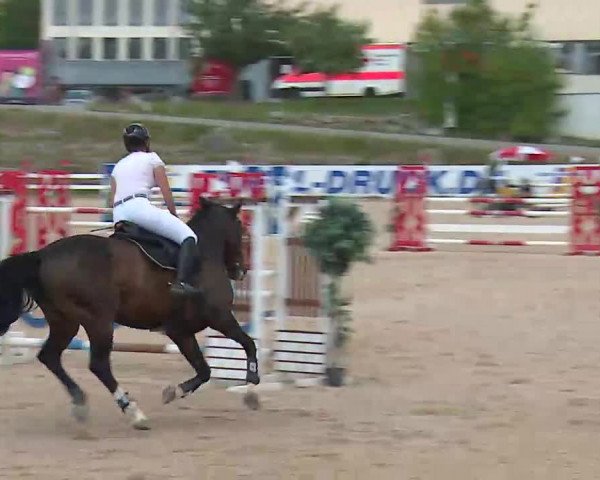 Reitturnier Kreuth/Opf. 2022