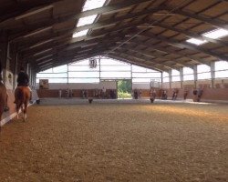 broodmare Florida 116 (Westphalian, 2004, from Florestan I)