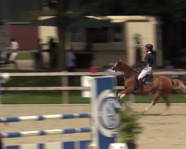 Reitturnier Barlo-Bocholt 2022