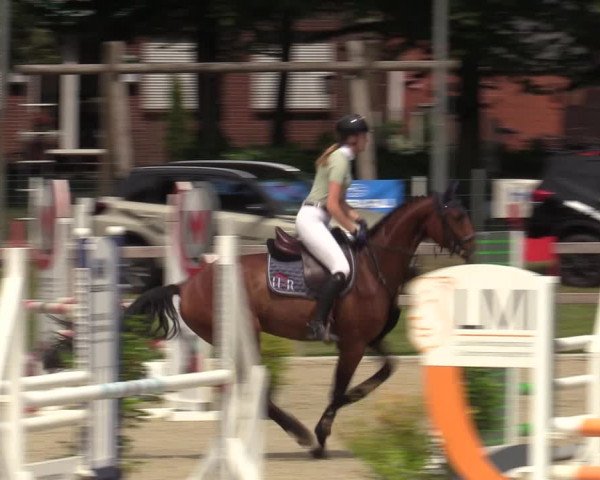 Reitturnier Barlo-Bocholt 2022