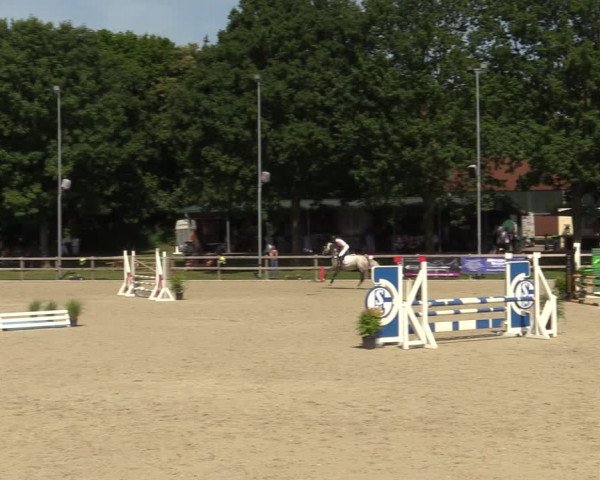 Reitturnier Barlo-Bocholt 2022