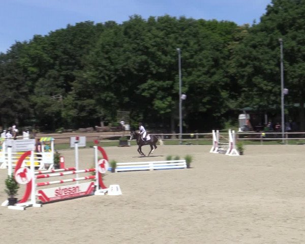 Reitturnier Barlo-Bocholt 2022