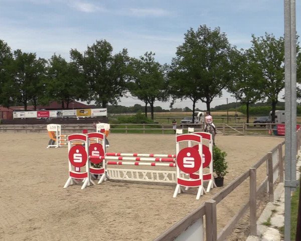 Reitturnier Barlo-Bocholt 2022