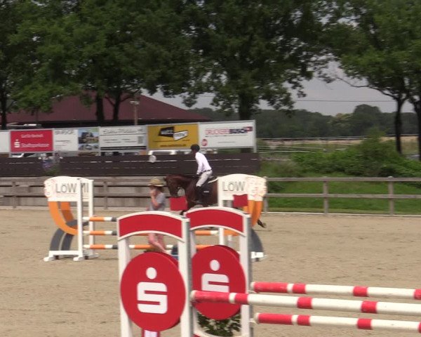 Reitturnier Barlo-Bocholt 2022
