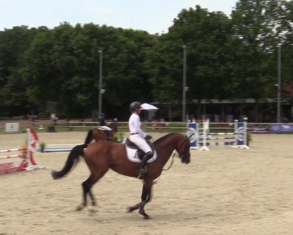 Reitturnier Barlo-Bocholt 2022
