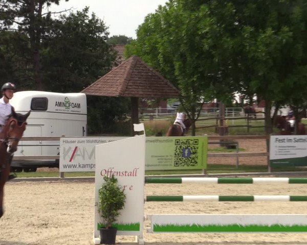 Reitturnier Barlo-Bocholt 2022