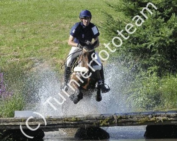 jumper Magic Little Lady (Trakehner, 2006, from Tivano)