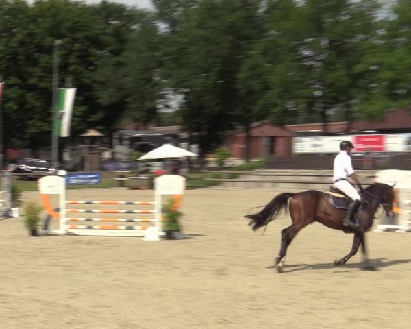 Reitturnier Barlo-Bocholt 2022