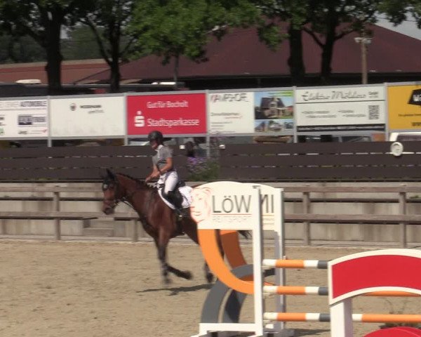 Reitturnier Barlo-Bocholt 2022