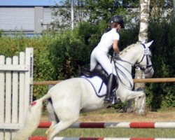 dressage horse Michel 129 (unknown, 1998)