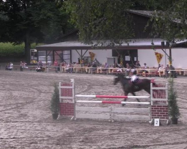 jumper Viva de la Mare (Westphalian, 2001, from Van Gogh)