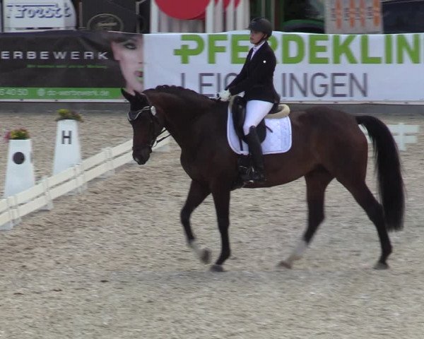 Reitturnier Leichlingen-Witzhelden - Sieferhof 2022