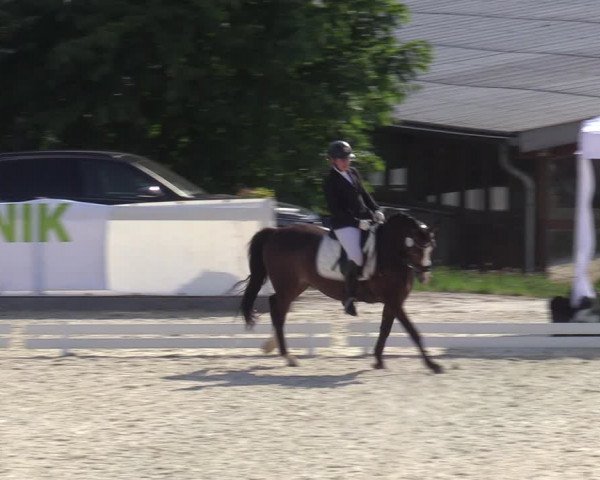 Reitturnier Leichlingen-Witzhelden - Sieferhof 2022