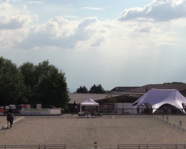 Reitturnier Leichlingen-Witzhelden - Sieferhof 2022