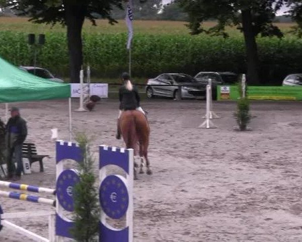 jumper Le Coeur 22 (Rhinelander, 2005, from Lord Lancer)