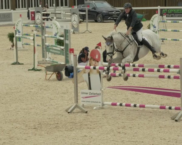 Springturnier Memmingen 2021