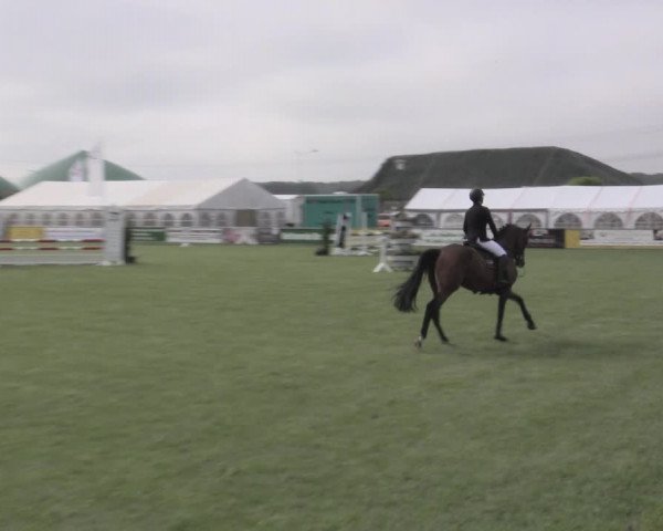 Reitturnier Dersekow 2022