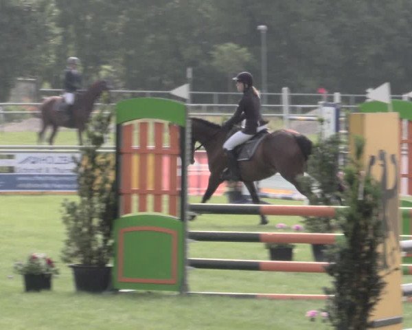 Reitturnier Dersekow 2022
