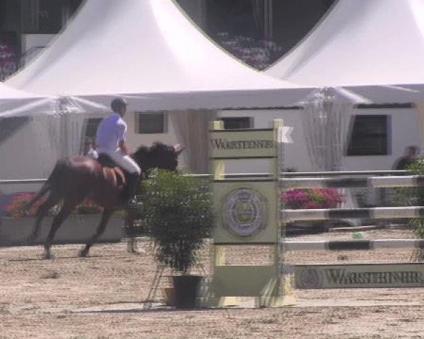 jumper Dreister 5 (Westphalian, 2002, from Dinard L)