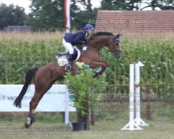 jumper Reality Boy (Hanoverian, 2005, from Rotspon)