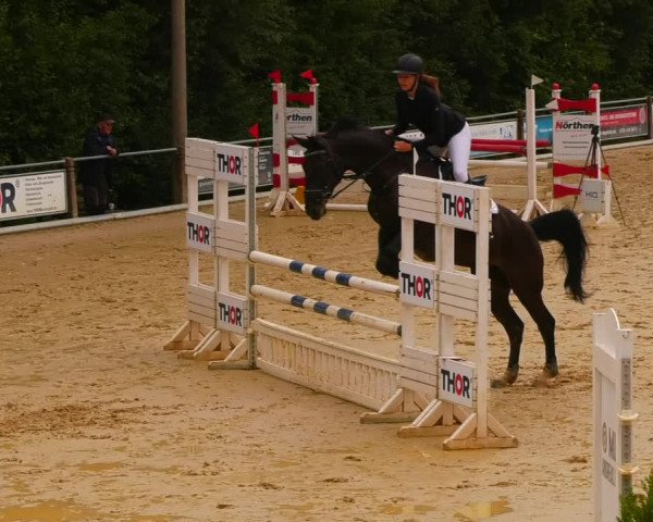 Reitturnier Uder, Reitanlage Kobold 2022