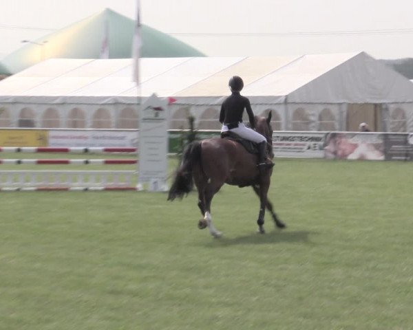 Reitturnier Dersekow 2022