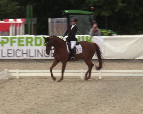 Reitturnier Leichlingen-Witzhelden - Sieferhof 2022