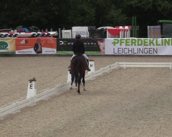 Reitturnier Leichlingen-Witzhelden - Sieferhof 2022