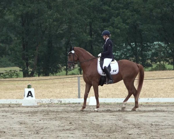 Reitturnier Wohlesbostel 2022