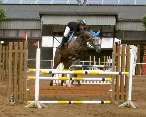 broodmare Charming Doll (Zweibrücken, 2006, from Cartani 4)