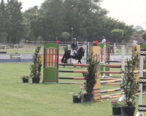 Reitturnier Dersekow 2022