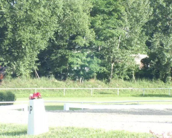 Reitturnier W, Wien-Freudenau/ASKÖ 2022