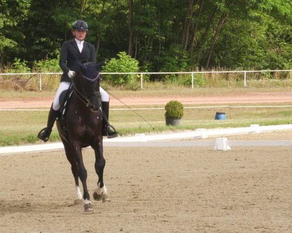 Reitturnier Heiligenwald 2022